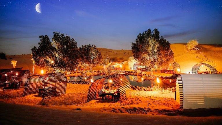 Exploring the dubai desert conservation reserve: a wildlife adventure