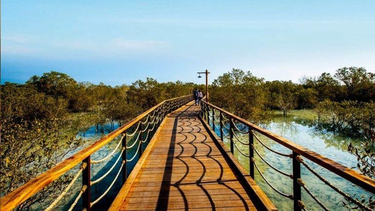 Abu Dhabi’s Ecosystem: Jubail Mangrove Park, Tickets Timing