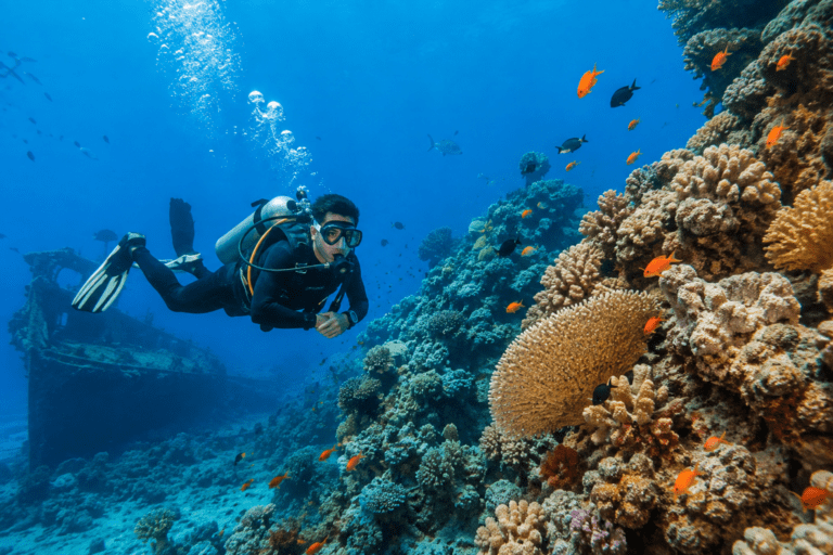 Scuba Diving Dubai: The Complete Guide for Beginners and Travellers