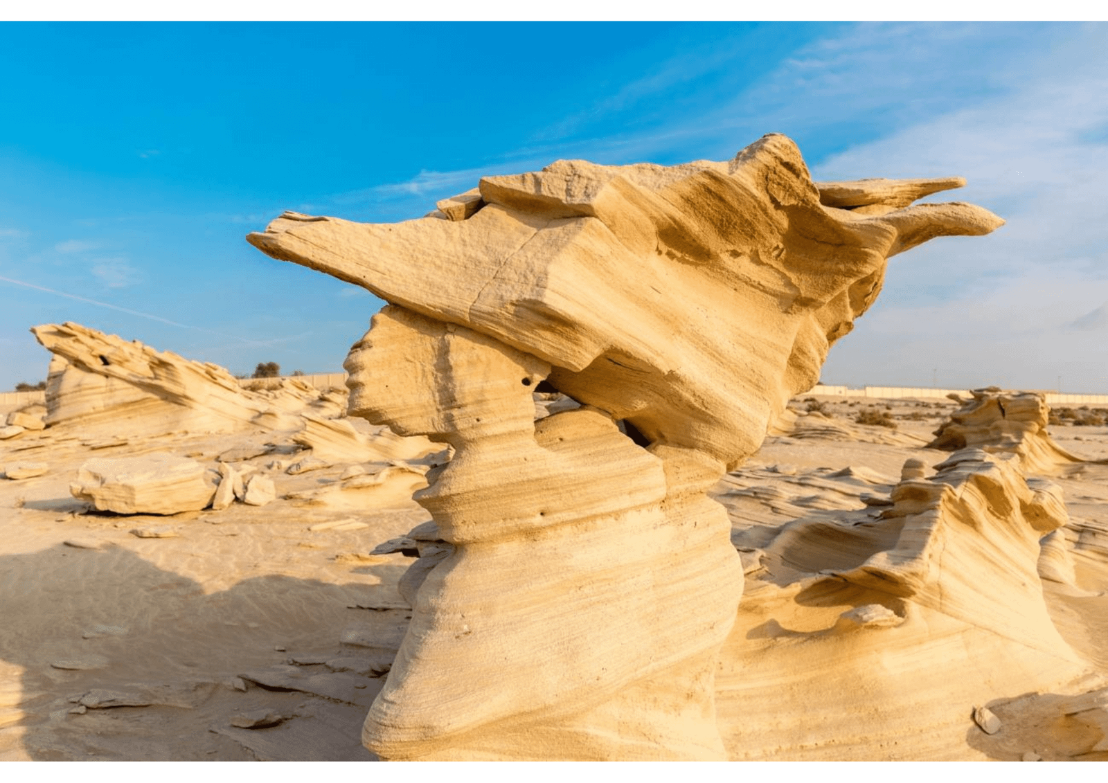 Al Wathba Fossil Dunes